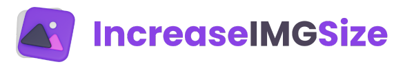 Increase IMG Size Logo